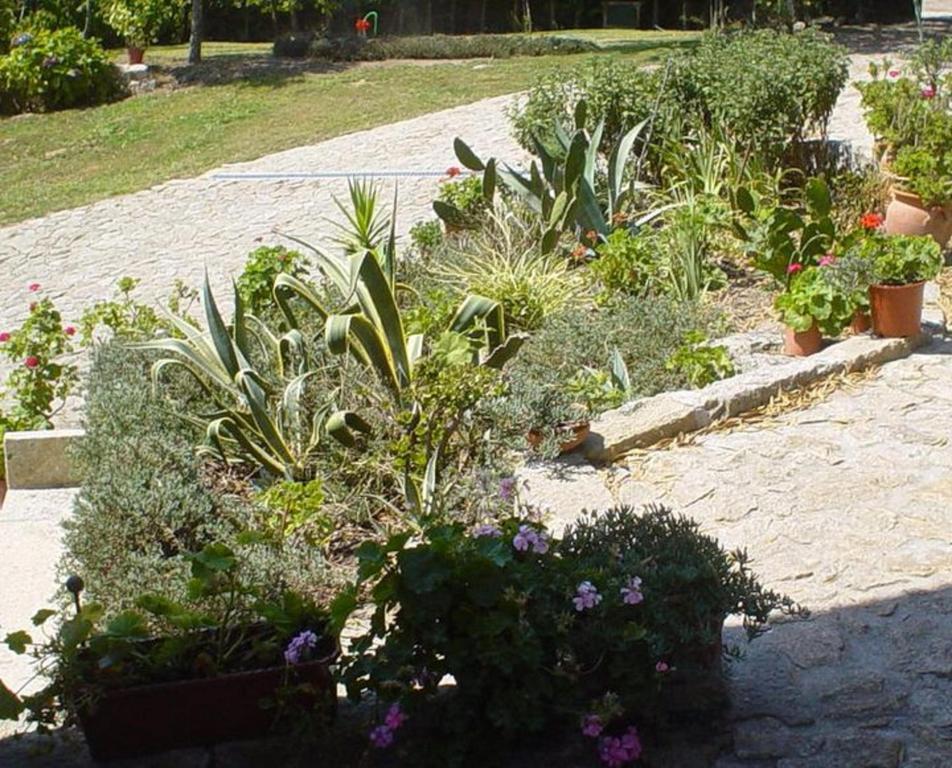 Casa Boavista Βίλα Paredes de Coura Εξωτερικό φωτογραφία